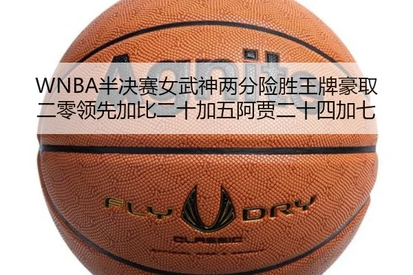 WNBA半决赛女武神两分险胜王牌豪取二零领先加比二十加五阿贾二十四加七